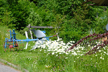 Schönau im Wiesental, Schwarzwald