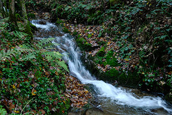 Schonach im Schwarzwald