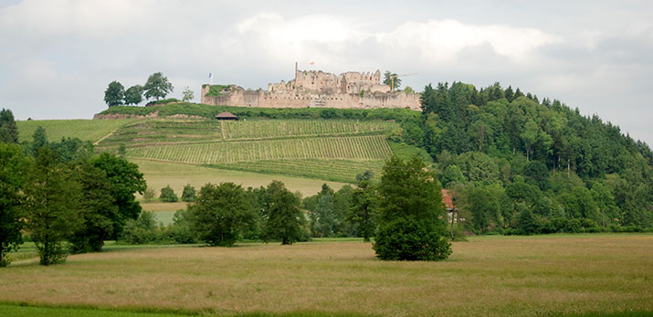 Hochburg Sexau im Breisgau