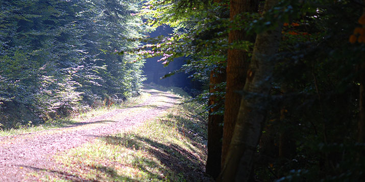 St. Blasien in´m Schwarzwald