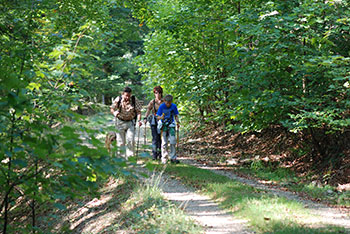 St. Blasien in´m Schwarzwald