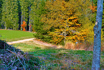 St. Märgen im Schwarzwald