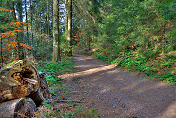 St. Märgen im Schwarzwald