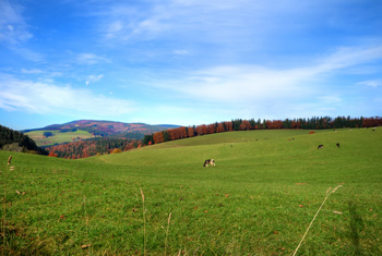 St. Märgen im Schwarzwald