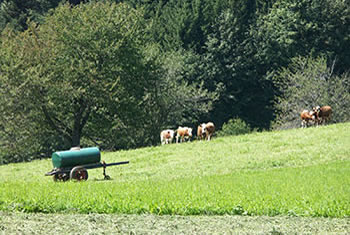 St. Märgen im Naturpark Südschwarzwald