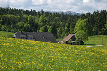 St. Peter im Schwarzwald