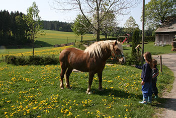 St. Peter im Schwarzwald