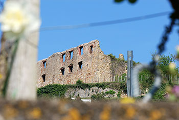 Radtour Staufen-Breisach