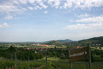 Blick über Staufen