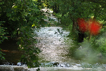 Neumagen in Staufen