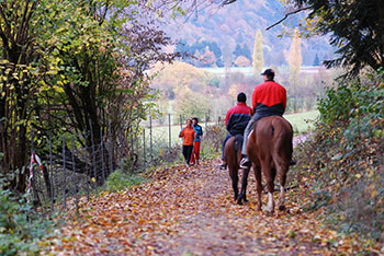 Wandern und Reiten bei Grunern