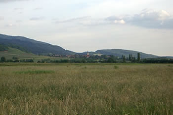 Staufen-Grunern im Breisgau