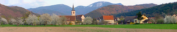 Staufen-Grunern im Breisgau