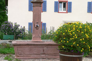 Staufen-Grunern im Breisgau