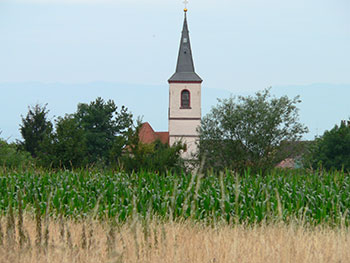 Staufen-Grunern im Breisgau