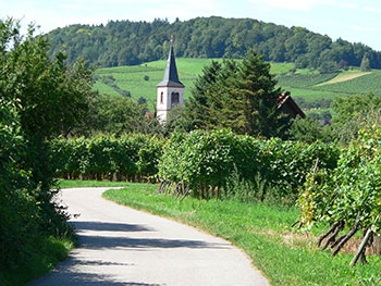 Staufen-Grunern im Breisgau