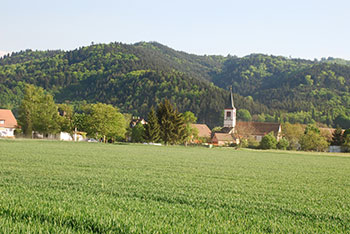 Staufen-Grunern im Breisgau