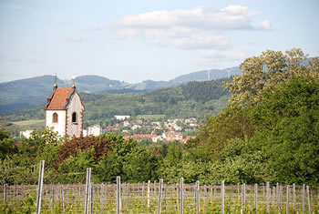 Radtour - Staufen im Breisgau