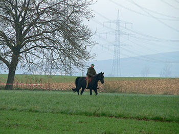 Schwarzwald