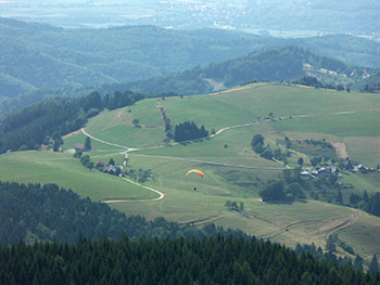 Schwarzwald