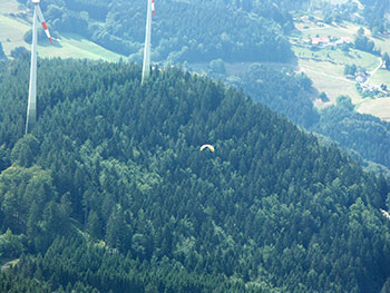 Schwarzwald