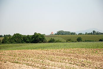 Sulzburg mit Laufen & St Ilgen