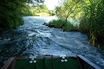 Taubergiessen