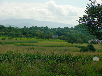 Teningen im südlichen Schwarzwald