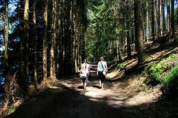 Titisee-Neustadt im Schwarzwald