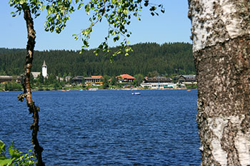 Titisee-Neustadt im Schwarzwald