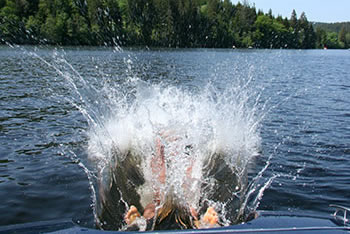 Titisee-Neustadt im Schwarzwald