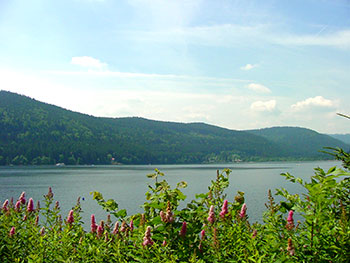 Titisee-Neustadt im Schwarzwald