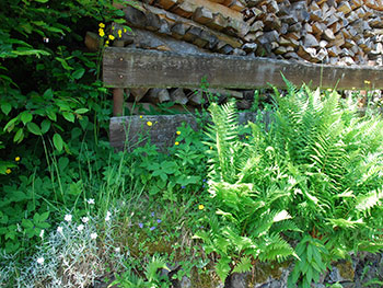 Todtmoos im Schwarzwald