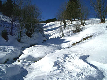 Todtnau im Schwarzwald