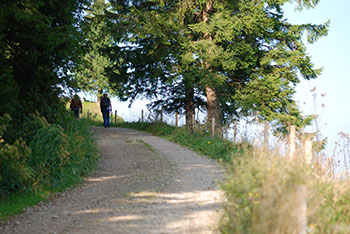 Wieden im Schwarzwald